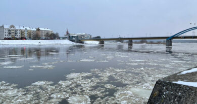 Eisbildung auf der Oder