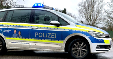 Archiv: Polizeiwagen