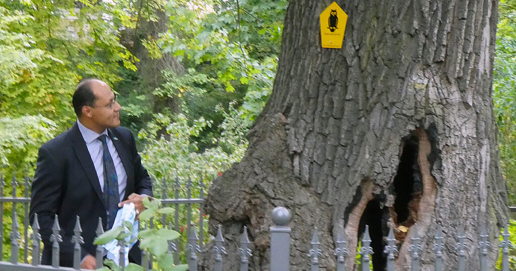 André Benedict Prusa bei der Enthüllung des Naturdenkmal- Schilds an der Schmeißereiche.